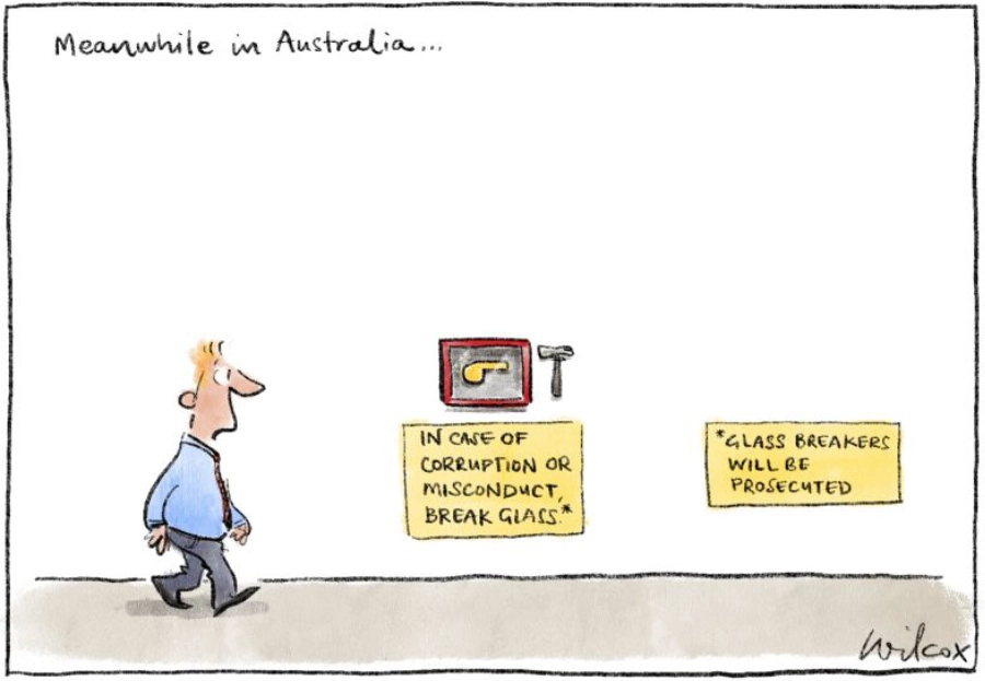 Cathy Wilcox Break Glass cartoon