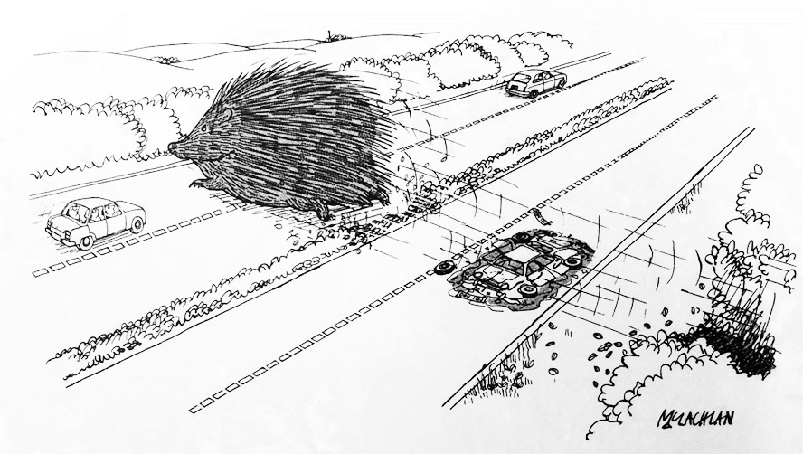 Ed McLachlan famous cartoon depicting a giant hedgehog squashing cars in an act of revenge.